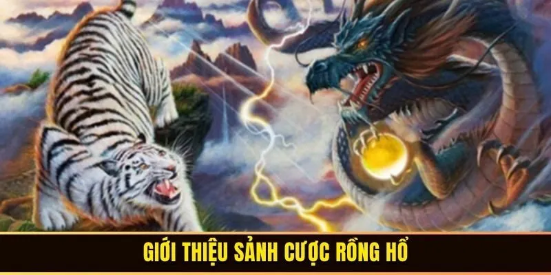 Giới thiệu sảnh cược rồng hổ