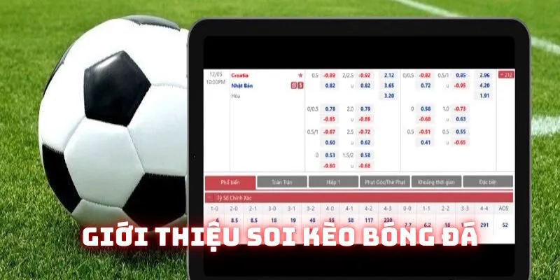 Soi Kèo Bóng Đá Winvn | Bí Quyết Nhận Định Thể Thao 2025 1 Nội dung giới thiệu soi kèo bóng đá